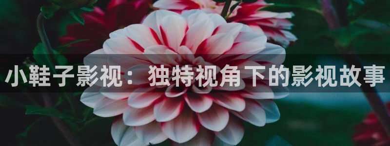 神马影院午夜剧场v888
