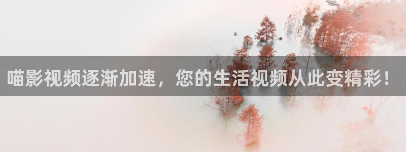 午夜男女爽爽爽影院免费观看网址